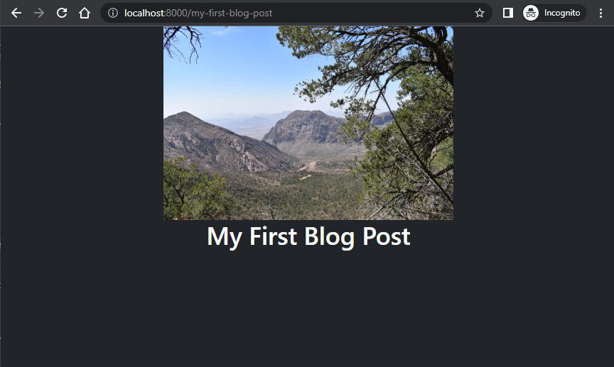 Screenshot of our blog page after adding the banner image