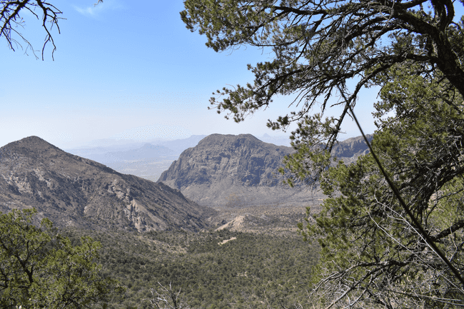 The beautiful views from Emory Peak at Big Bend National Park